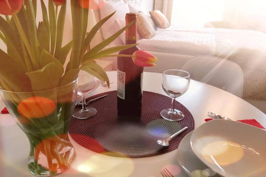 Apartments Musikviertel 莱比锡 外观 照片